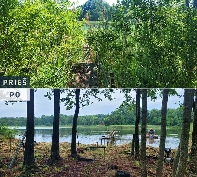 Vandens augalų šalinimas