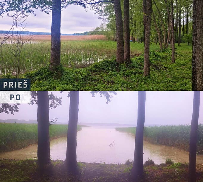 Vandens augalų pjovimo darbai