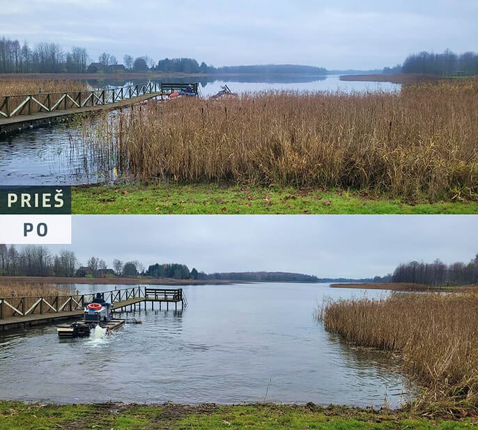 Nendrių šalinimas ežere