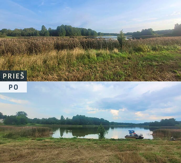 Nendrių pjovimo darbai